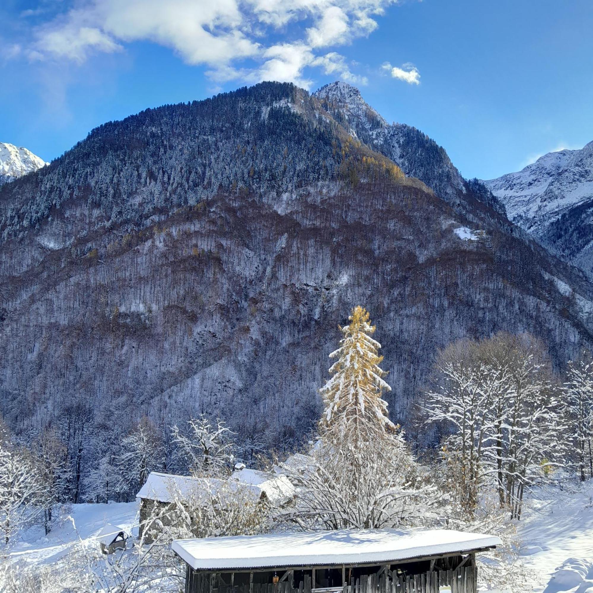 Casa All'Alpe Anzino Exterior foto